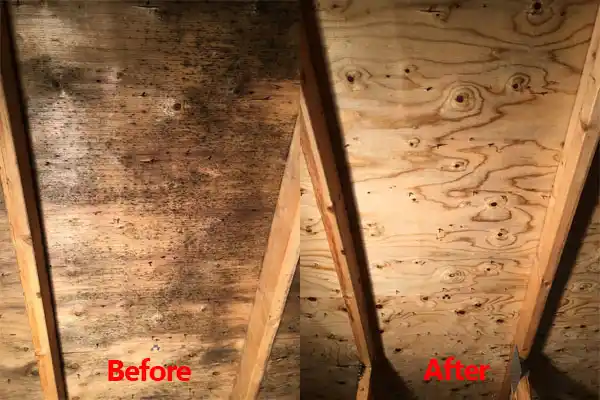 water damage restoration service Osyka
